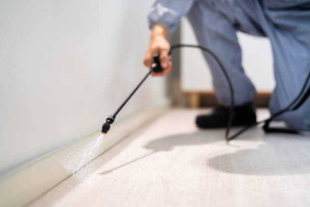 Licensed Pest Control service in De Witt, NY - Show Me Pest Control