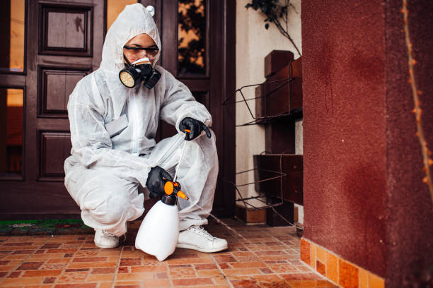 Reliable Wasp Removal contractor in De Witt, NY by Show Me Pest Control
